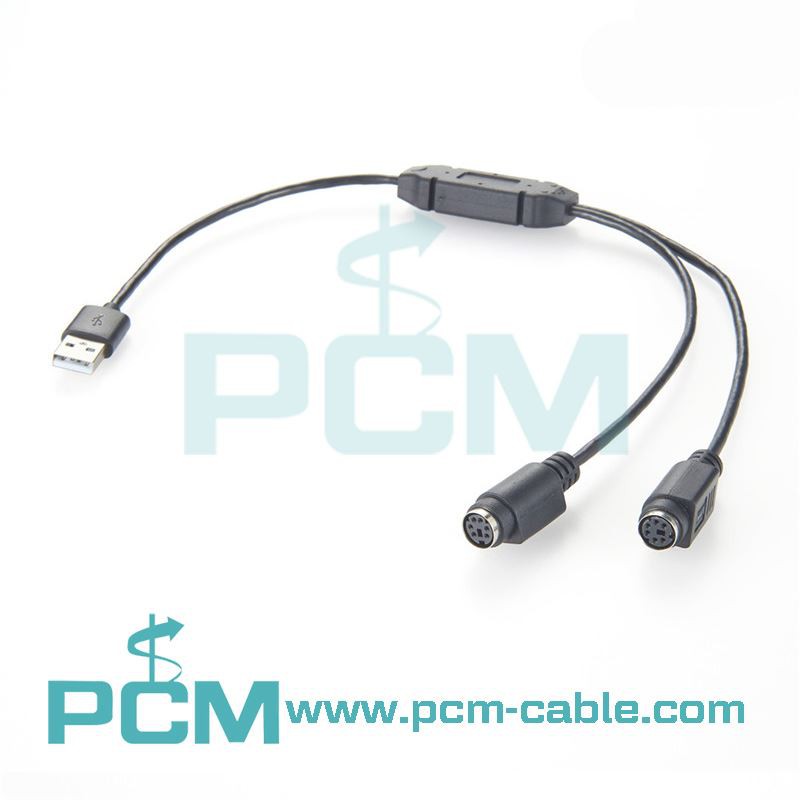 Què és el cable PS2?